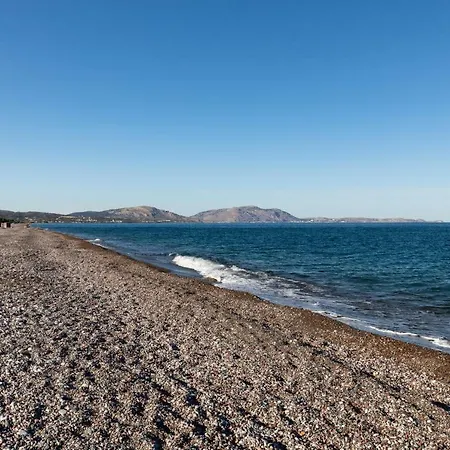 Elena House * Gennadi